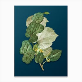 Vintage Linden Tree Branch Botanical Art on Teal Blue n.0424 Canvas Print