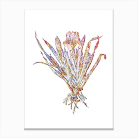 Stained Glass Crimean Iris Mosaic Botanical Illustration on White Canvas Print