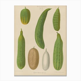 Cucumbers 1 Canvas Print