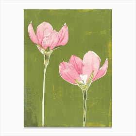 Pink & Green Cyclamen 2 Canvas Print