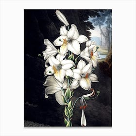 Lily Of The Valley Canvas Print