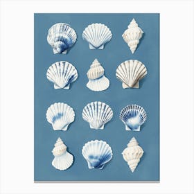 Monochrome Seashells Canvas Print