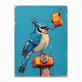 Blue Jay 8 Canvas Print