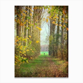 Autumn Woodland Walk Canvas Print