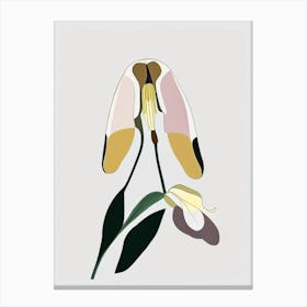 Lady's Slipper Wildflower Modern Muted Colours Canvas Print