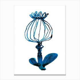 Blue Pod Flower Canvas Print