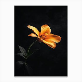 Orange Lily 9 Canvas Print