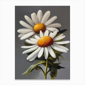 Denmark Marguerite Daisy Canvas Print