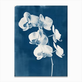 Orchid II Canvas Print