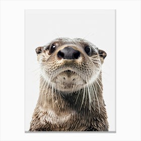 Otter 2 Canvas Print