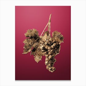 Gold Botanical Raisin Grape on Viva Magenta Canvas Print