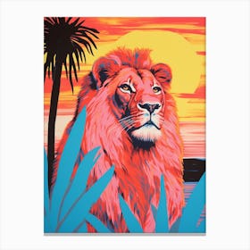 Lion In The Sunset Colour Pop 3 Canvas Print