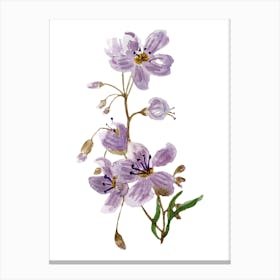 Watercolor Of Purple Flowers Canvas Print