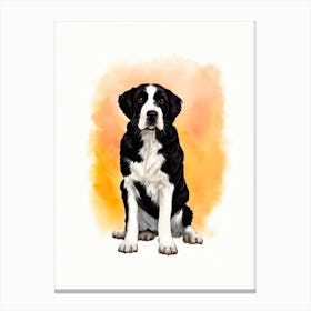 English Springer Spaniel Illustration dog Canvas Print