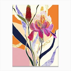 Colourful Flower Illustration Prairie Clover 2 Canvas Print