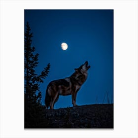 Howling Wolf 10 Canvas Print