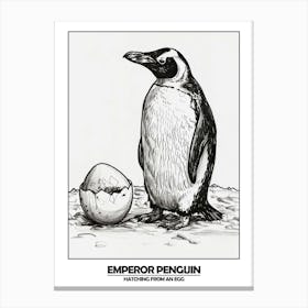 Penguin Hatching From An Egg Poster Canvas Print