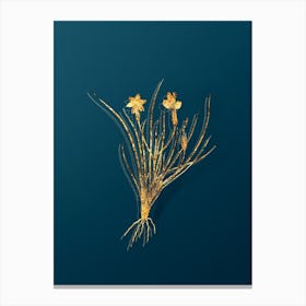 Vintage Golden Blue eyed Grass Botanical in Gold on Teal Blue n.0137 Canvas Print