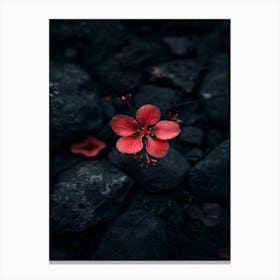 Dark Flower 21 Canvas Print