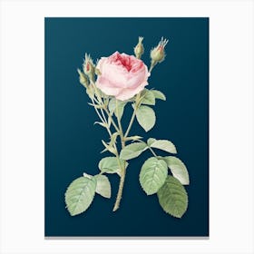 Vintage Double Moss Rose Botanical Art on Teal Blue n.0593 Canvas Print