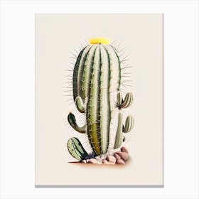 Melocactus Cactus Marker Art 1 Canvas Print