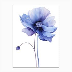 Blue Poppy Watercolor Painting Canvas Print