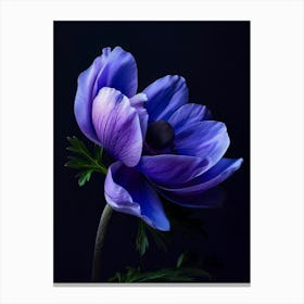 Poster Purple Beauty 3 Canvas Print