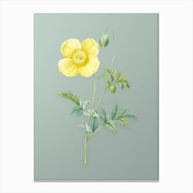 Vintage Welsh Poppy Botanical Art on Mint Green Canvas Print