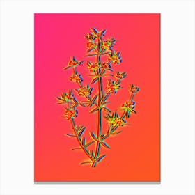 Neon Heath Mirbelia Branch Botanical in Hot Pink and Electric Blue n.0531 Canvas Print