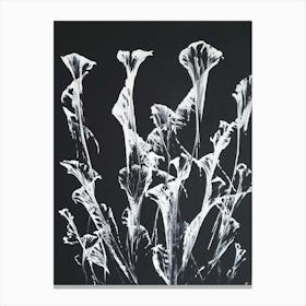 Abstract white flowers Canvas Print
