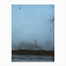 Foggy Morning Canvas Print