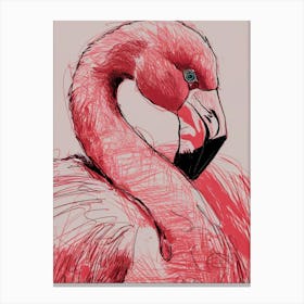 Flamingo Canvas Print