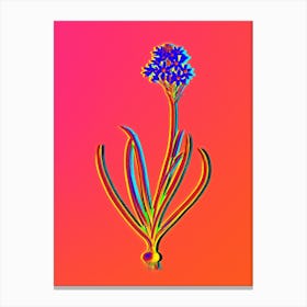 Neon Arabian Starflower Botanical in Hot Pink and Electric Blue Canvas Print