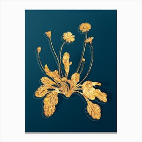 Vintage Daisy Flowers Botanical in Gold on Teal Blue Canvas Print