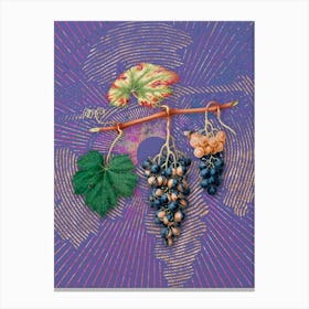 Vintage Summer Grape Botanical Illustration on Veri Peri n.0553 Canvas Print