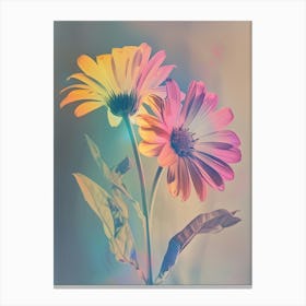 Iridescent Flower Calendula 1 Canvas Print