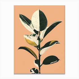 Rubber Plant Minimalist Illustration 6 Canvas Print