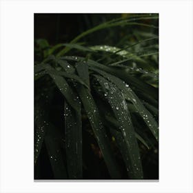 Rain Drops On Leaves Wall Decor Canvas Print