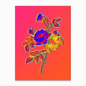 Neon Pink Rose Turbine Botanical in Hot Pink and Electric Blue n.0449 Canvas Print