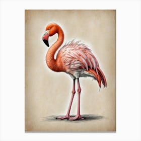 Flamingo 6 Canvas Print