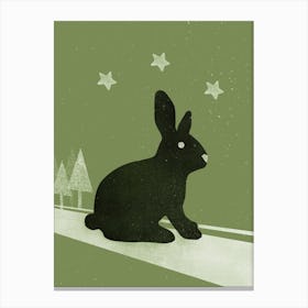 Winter Hase Canvas Print