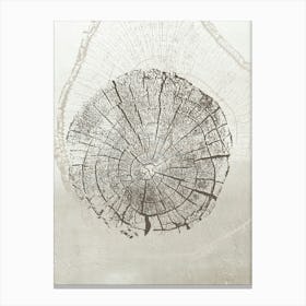 Neutral Tree Ring Stump 3 Canvas Print
