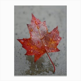 Maple Leaf With Raindrops Canvas Print