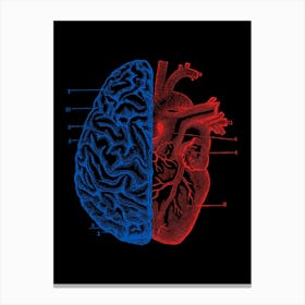 Heart and Brain Canvas Print