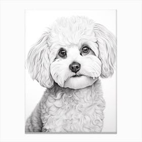 Bichon Frise Dog, Line Drawing 2 Canvas Print