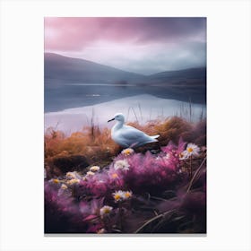 Seagull Canvas Print