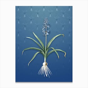 Vintage Scilla Patula Botanical on Bahama Blue Pattern n.2233 Canvas Print