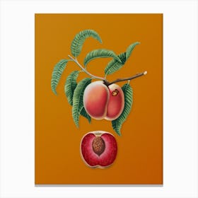 Vintage Carrot Peach Botanical on Sunset Orange n.0204 Canvas Print