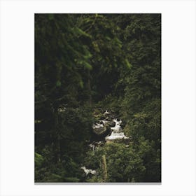 Waterfall In The Forest Canvas Print