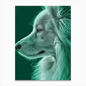 Border Collie Close Up Generated with AI Canvas Print